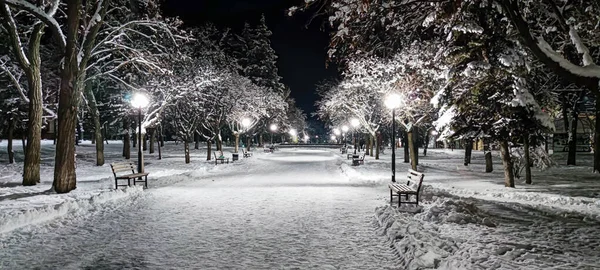 Прекрасная Зима Много Белого Снега Зима Украине Украина Город Изюм — стоковое фото
