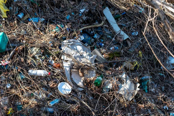 森林里的垃圾被污染的生态 在森林里丢弃的塑料 乌克兰2022 — 图库照片