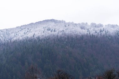 Kış manzarası. Karpatlar 'daki karlı dağlar. Ukrayna, Nisan 2022.