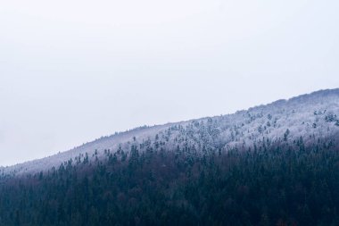 Kış manzarası. Karpatlar 'daki karlı dağlar. Ukrayna, Nisan 2022.