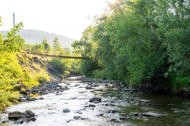 Yaz ormanındaki nehir. Nehrin yaz manzarası. Nehir yaz ormanında akar. Ormandaki Rocky Nehri kıyısında. Nehir ormanı manzarası. Ukrayna, Temmuz 2022.