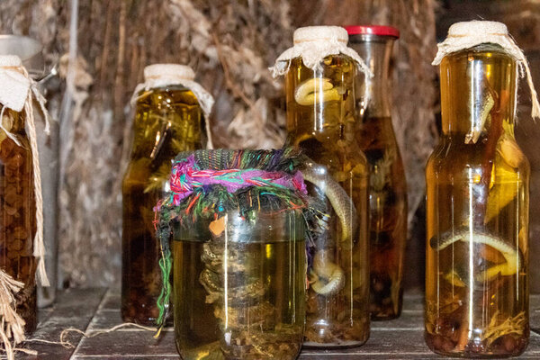 Alcoholic drink, tincture using a snake. Alcoholic drink infused with snake venom. Homemade alcohol with the addition of snake and herbs. A potion with medicinal harbs and a snake.