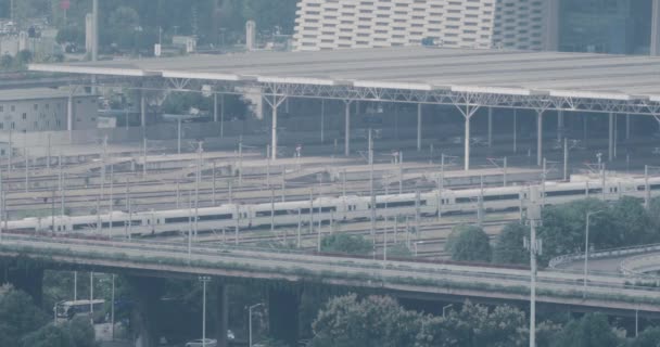 Çin 'deki tren istasyonu. — Stok video