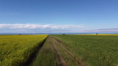 Qinghai 'deki Chaka Salt Gölü.