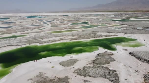 Chaka Salt lake in Qinghai — Stock Video