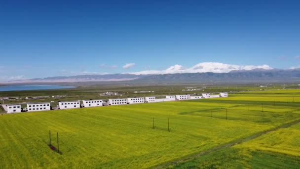Chaka Saltsjö i Qinghai — Stockvideo