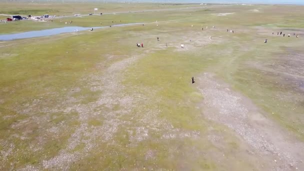 ทุ่งหญ้าในดินแดนทิเบต — วีดีโอสต็อก
