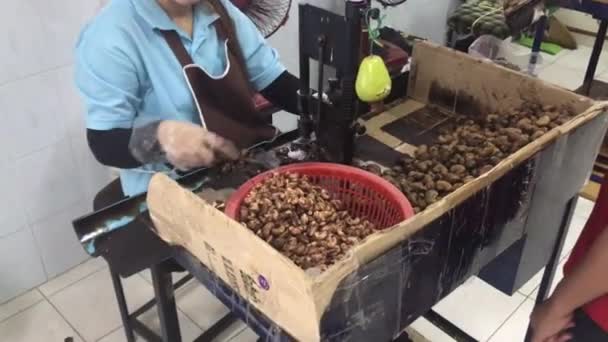 Castanha de caju shell remoção. 28 Jun 2017.Pattaya Tailândia — Vídeo de Stock