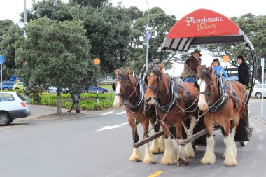 Üç atlı bir araba. Devonport, Auckland, Yeni Zelanda. 11 Eylül 2011 
