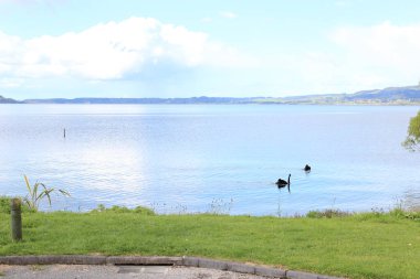 Rotorua Gölü. Yeni Zelanda. 20 Sep 2011