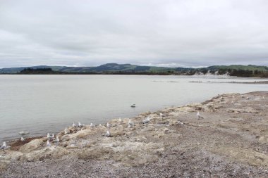 Rotorua Gölü. Yeni Zelanda. 20 Sep 2011