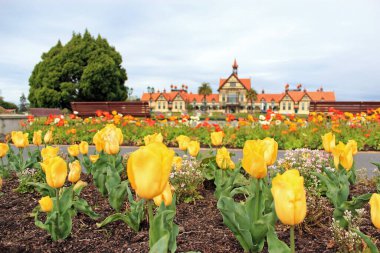 Rotorua, Yeni Zelanda 'daki Hükümet Bahçesi. 17 Ekim 2011