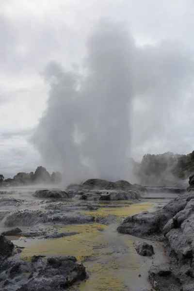 A gejzír kitörése. Pohutu gejzír. Rotorua, Új-Zéland. 2011. október 18. — Stock Fotó