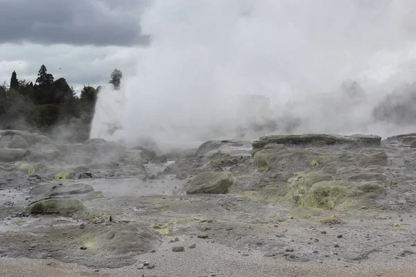 A gejzír kitörése. Pohutu gejzír. Rotorua, Új-Zéland. 2011. október 18. — Stock Fotó