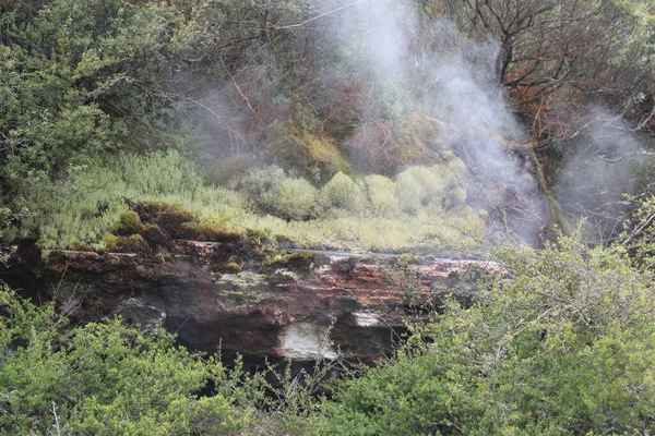 Ausbruch des Geysirs. Pohutu-Geysir, Rotorua, Neuseeland. 18. Oktober 2011 — Stockfoto