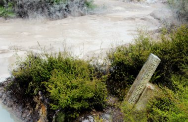 Gayzerin patlaması. Pohutu gayzerleri. Rotorua, Yeni Zelanda. 18 Ekim 2011