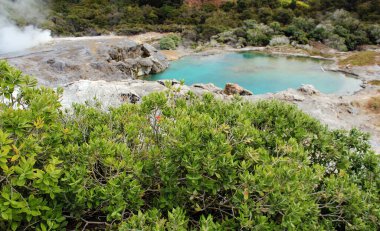 Gayzerin patlaması. Pohutu gayzerleri. Rotorua, Yeni Zelanda. 18 Ekim 2011
