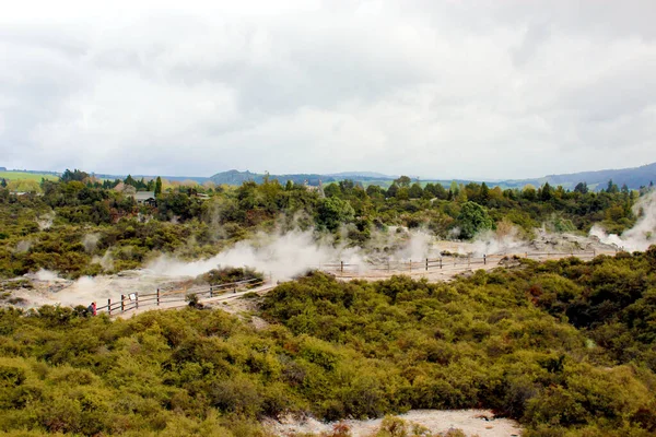 A gejzír kitörése. Pohutu gejzír. Rotorua, Új-Zéland. 2011. október 18. — Stock Fotó