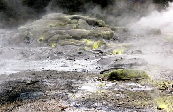 Erupção do gêiser. Pohutu geyser.Rotorua, Nova Zelândia. 18 de outubro de 2011 — Fotografia de Stock