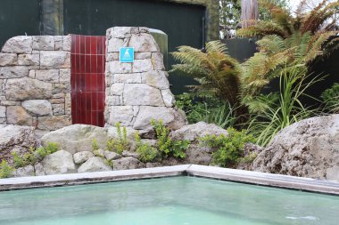 Rotorua 'da jeotermal kaplıca. Yeni Zelanda. 17 Ekim 2011