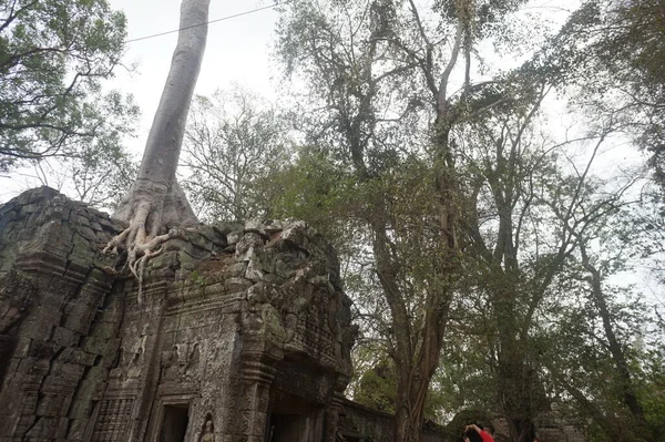 Angkor Wat, Cambodia. 1 April 2016 — Stock Photo, Image