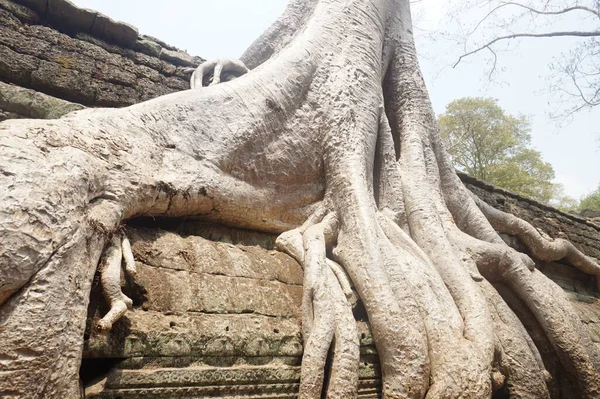Angkor Wat, Cambodia. 1 April 2016 — Stock Photo, Image
