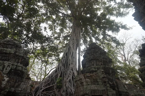 Angkor Wat, Cambodia. 1 April 2016 — Stock Photo, Image