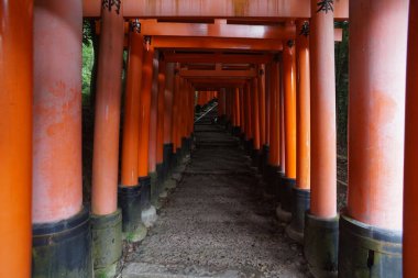 Fushimi-Inari Taisha, Kyoto, Japonya. 24 Kasım 2014