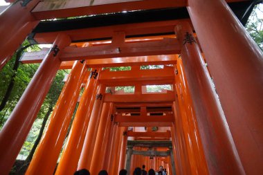 Fushimi-Inari Taisha, Kyoto, Japonya. 24 Kasım 2014