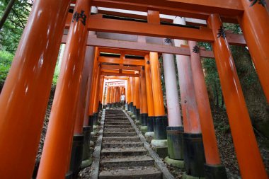 Fushimi-Inari Taisha, Kyoto, Japonya. 24 Kasım 2014