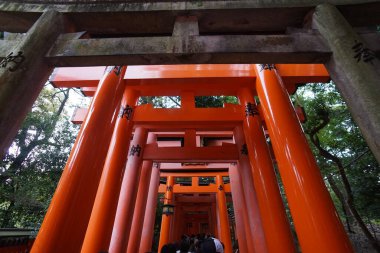 Fushimi-Inari Taisha, Kyoto, Japonya. 24 Kasım 2014