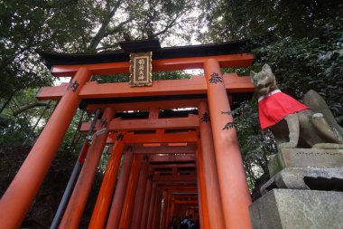 Fushimi-Inari Taisha, Kyoto, Japonya. 24 Kasım 2014