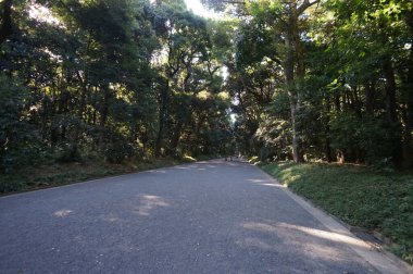 Tokyo, Japonya 'dan Meiji Jingu. 7 Ekim 2015