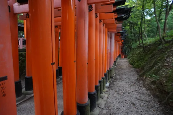 Fushimi-Inari Taisha, Kyoto, Japón. 24 Nov 2014 — Foto de Stock