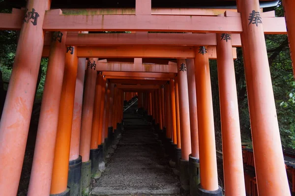 Fushimi-Inari Taisha, Kyoto, Japão. 24 Nov 2014 — Fotografia de Stock