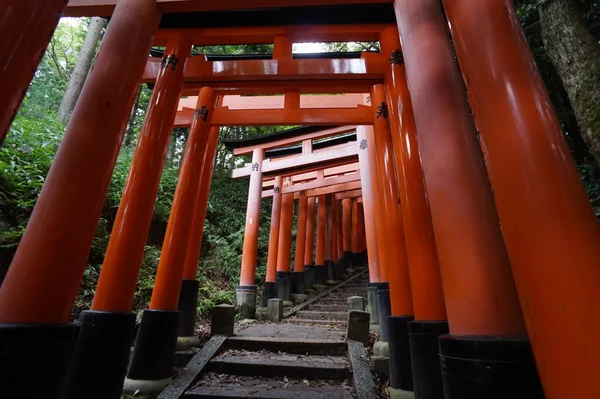 Fushimi-Inari Taisha, Kyoto, Japon. 24 nov. 2014 — Photo