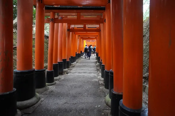 Fushimi-Inari Taisha, Kyoto, Japón. 24 Nov 2014 — Foto de Stock