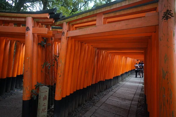 Fushimi-Inari Taisha, Kyoto, Japão. 24 Nov 2014 — Fotografia de Stock