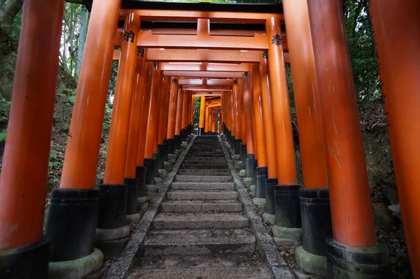 Fushimi-Inari Taisha, Κιότο, Ιαπωνία. 24 Νοεμβρίου 2014 — Φωτογραφία Αρχείου