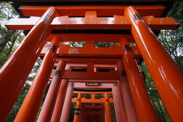 Fushimi-Inari Taisha, Kyoto, Japon. 24 nov. 2014 — Photo