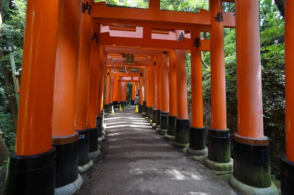 Fushimi-Inari Taisha, Kyoto, Japón. 24 Nov 2014 — Foto de Stock