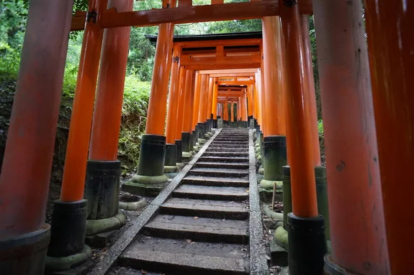 Fushimi-Inari Taisha, Kyoto, Japão. 24 Nov 2014 — Fotografia de Stock