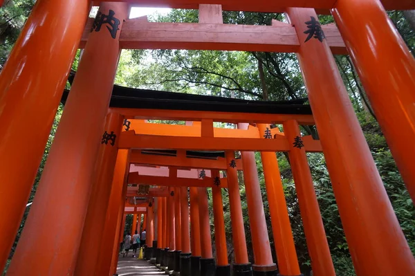 Fushimi-Inari Taisha, Kyoto, Japón. 24 Nov 2014 — Foto de Stock