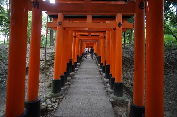 Fushimi-Inari Taisha, Kyoto, Japón. 24 Nov 2014 — Foto de Stock