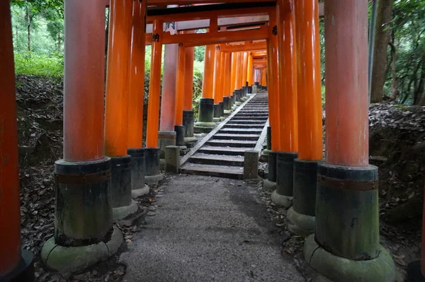 Fushimi-Inari Taisha, Kyoto, Japón. 24 Nov 2014 — Foto de Stock