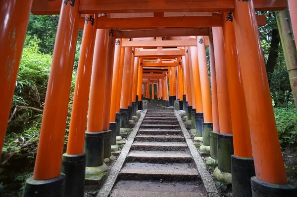 Fushimi-Enari Taisha, Kyoto, Japan. 24 Nov 2014 — Stockfoto