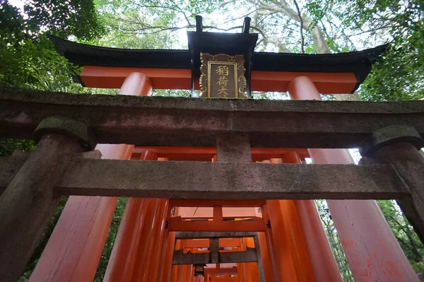 Fushimi-Inari Taisha, Kyoto, Japon. 24 nov. 2014 — Photo