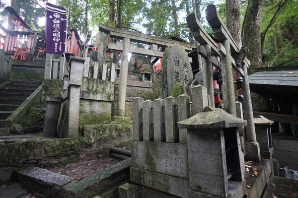 Fushimi-Inari Taisha, Kyoto, Japonya. 24 Kasım 2014 — Stok fotoğraf