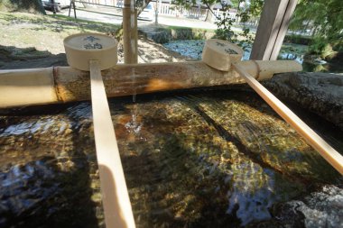 Japonya, Nala 'daki Todaiji Tapınağı. 23 Kasım 2014