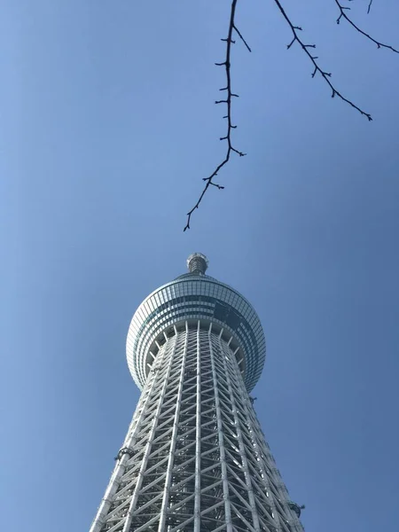 Tokyo, Japonya 'daki Skytree Kulesi. 16 Aralık 2017 — Stok fotoğraf